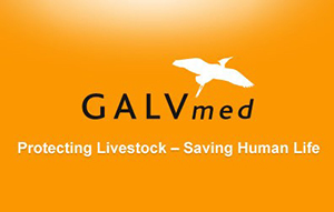 galvmed